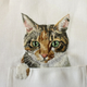 Illustration for article titled Internet Cats Make Boring Dress Shirts Better